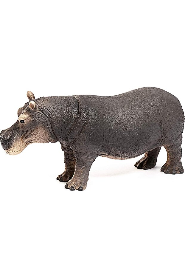 Su Aygırı 14814 - 5