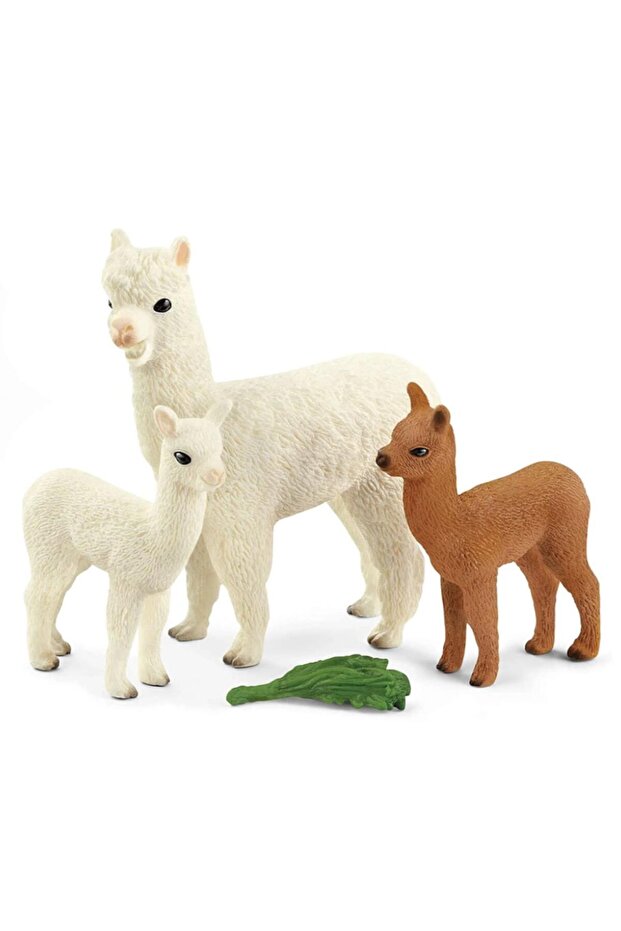 Alpaka Seti 42544 - 3