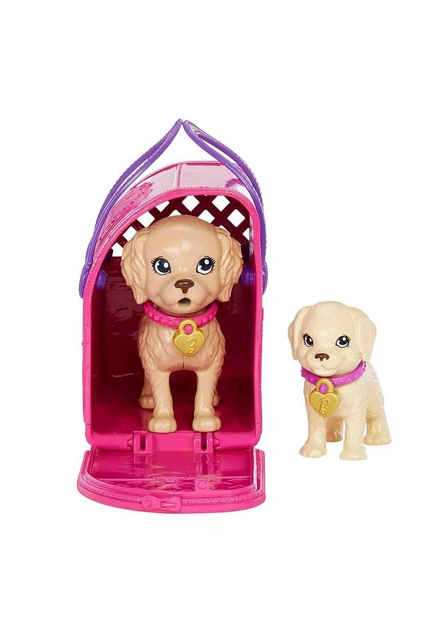 Ve Köpekçikleri Oyun Seti Hkd86 - 4