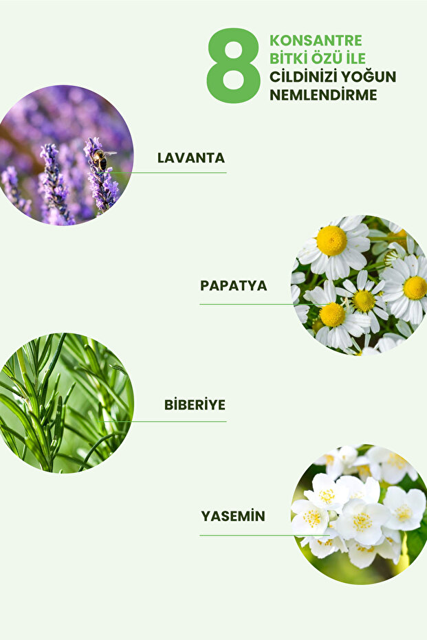 Vegan İçerikli Mini Kit - 5