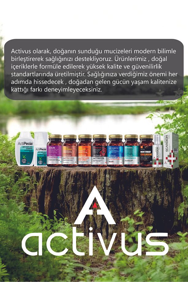 Northway Kolajen tip 2 Eklem desteği Tam Destek Metilsülfonilmetan MSM Type II diz dirsek bilek - 7