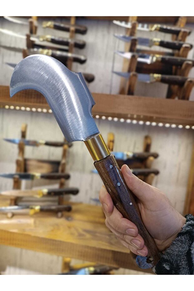 Minik Baltalı Tahra