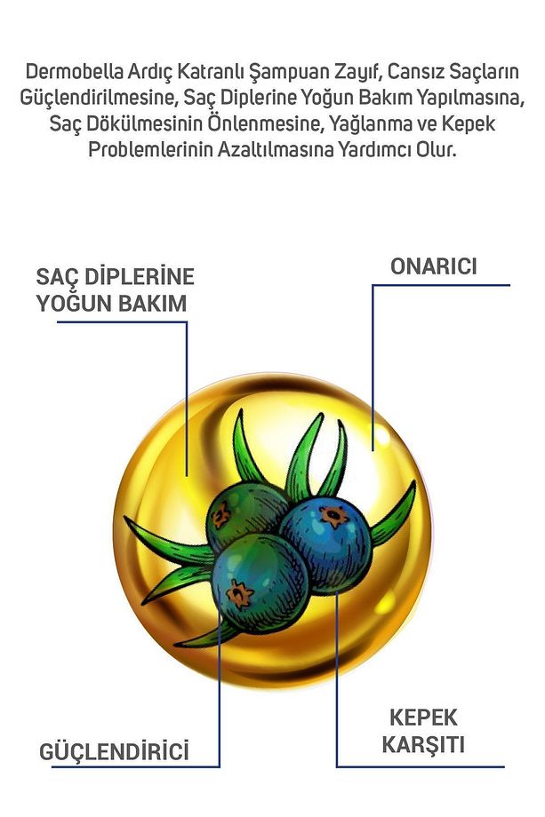 Ardıç Katranlı Şampuan 700 ml - 3