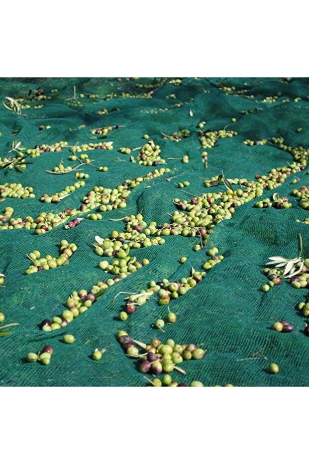 Zeytin Toplama Filesi 6mx8m - 2