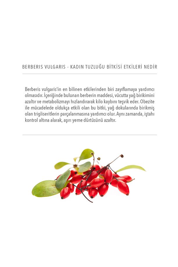 Nutriplus Berberis Vulgaris (KARAMUK) Ekstresi 30 Kapsül - 2 Adet - 3