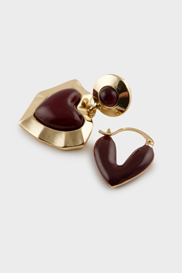 Kadın 2'li Kalpli Küpe E4039axns - 2