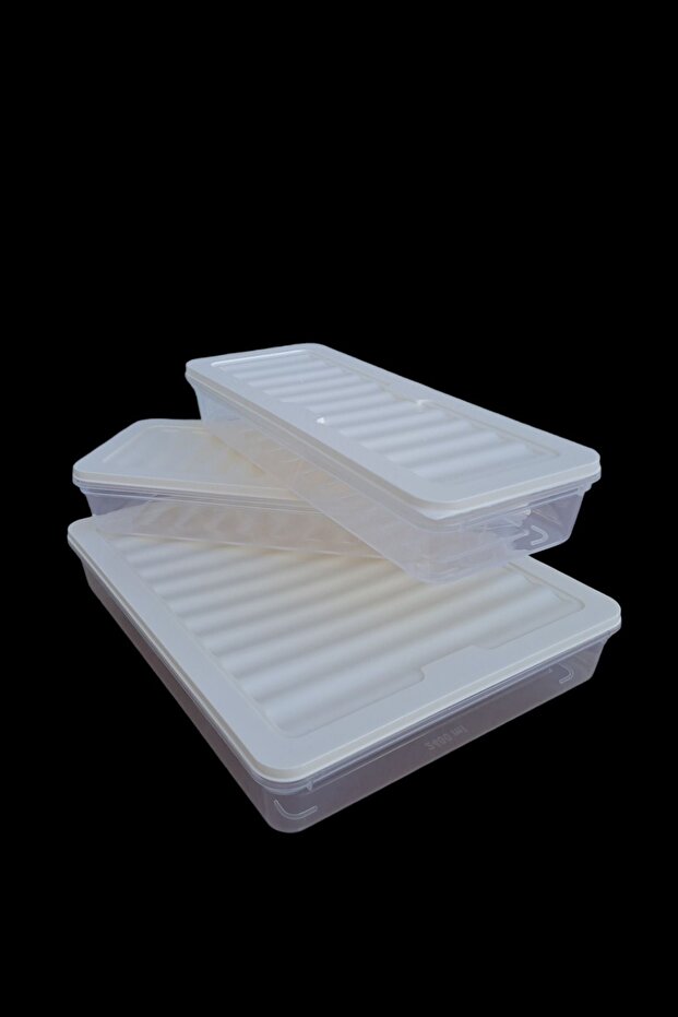 Food Storage Container Set of 3, Box That Can Be Used in the Microwave and Deep Freezer, Gray, 1.2 Lt and 2.4 Lt