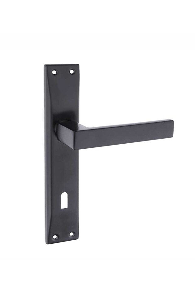 Kapı Kolu Lama Siyah Aynalı Oda - 4