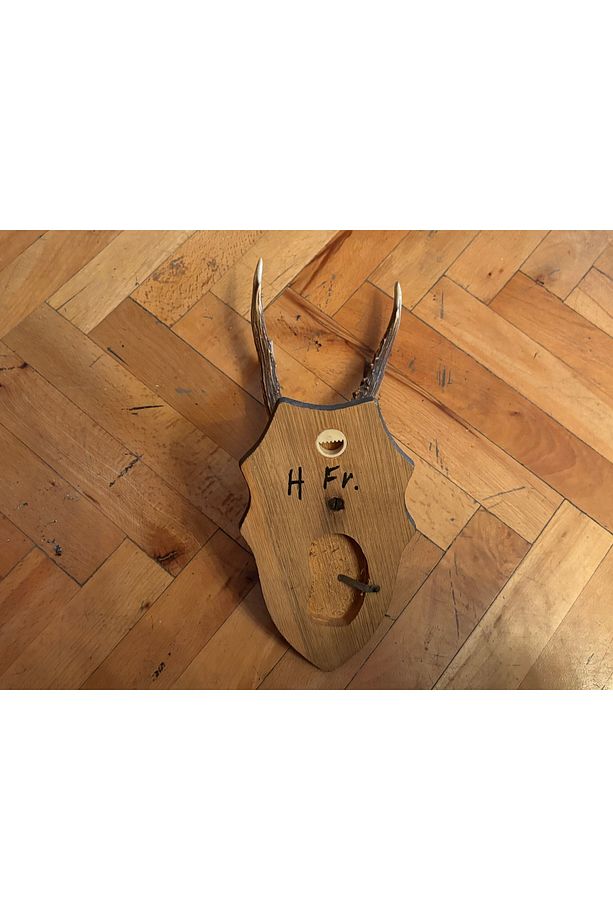 Ahşap kaidesinde Karaca geyik Trofesi boynuzu 32 cm boyunda - 745jhdfs356 - 6