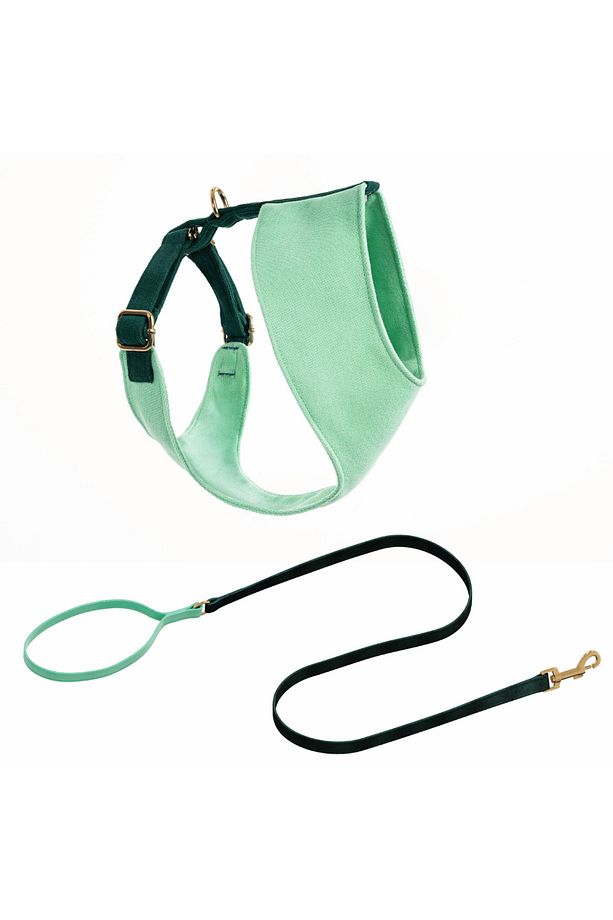 Shelby Soft Köpek Göğüs Tasma Seti - 1