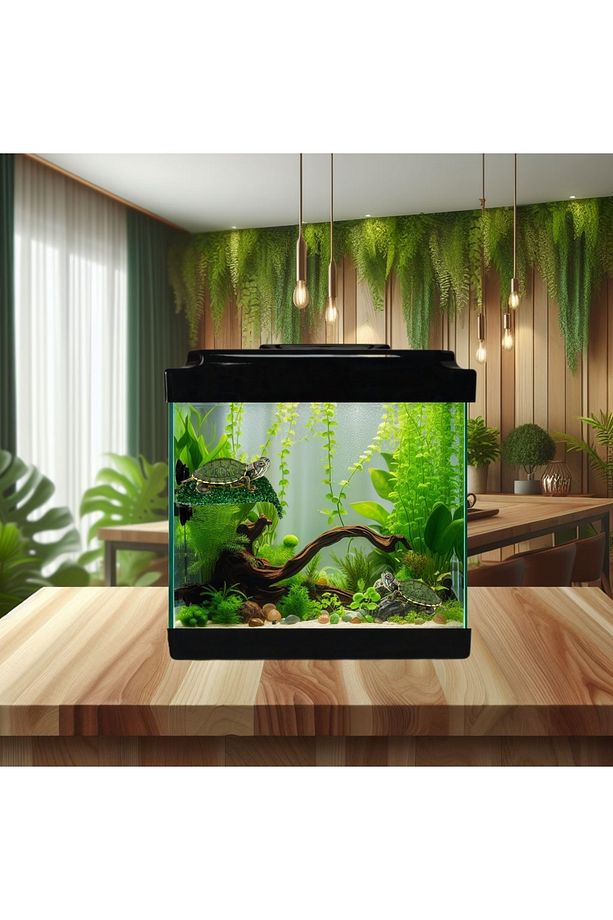 Dinlenme Alanınlı Küçük Kaplumbaga Bahçesi Kaplumbaga Habitat Karışık Renklerde Gönderilir. - 5