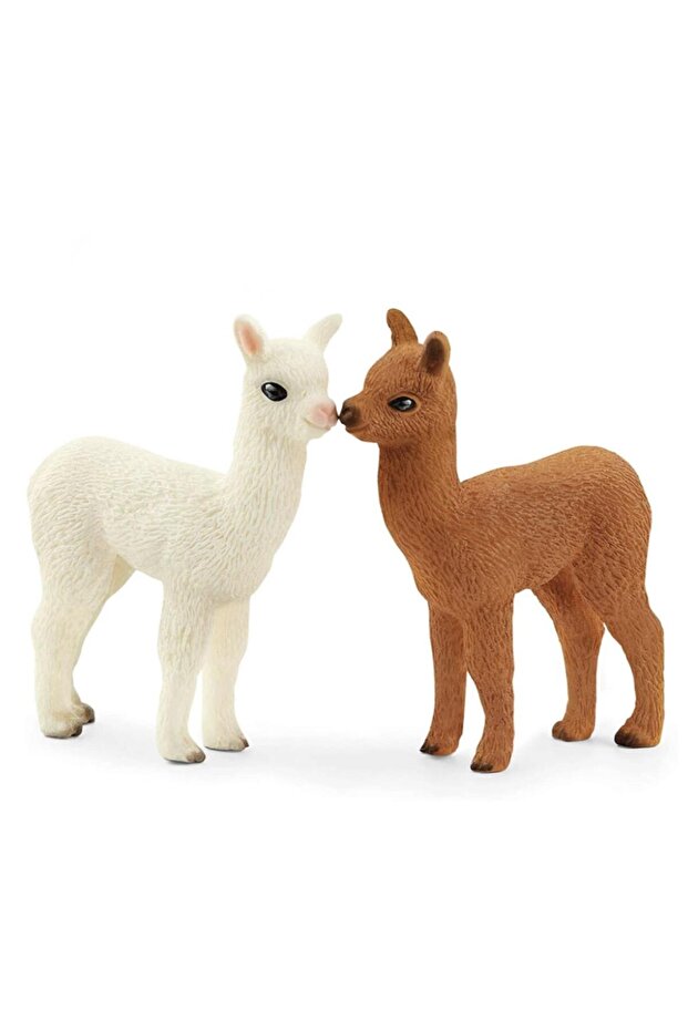 Alpaka Seti 42544 - 2