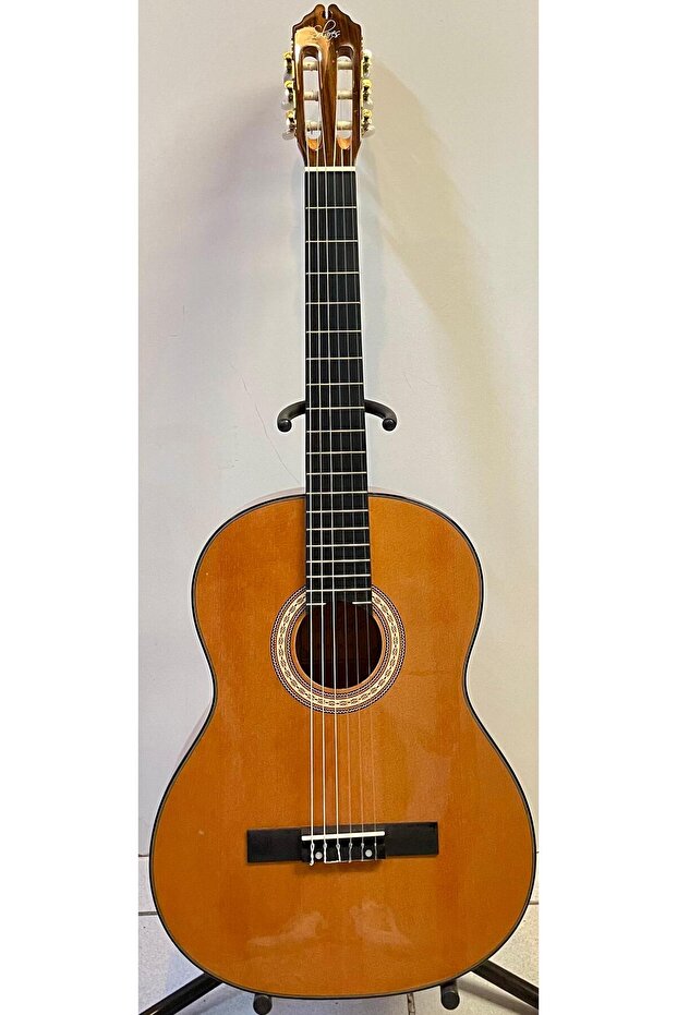 Profesyonel Klasik Gitar - 5