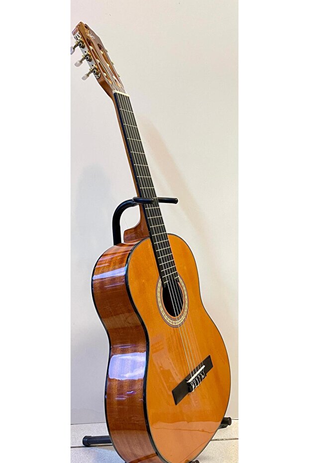 Profesyonel Klasik Gitar - 1