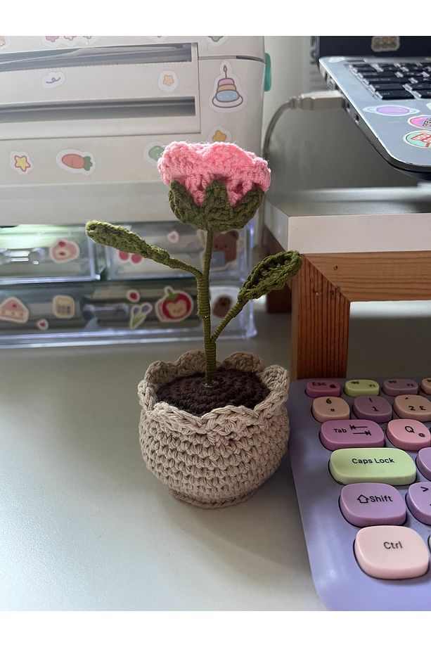Örgü Pembe Gül Saksı Çiçek, Solmayan Gül, El Yapımı Örgü Çiçek, Anneye, Sevgiliye, Öğretmene Hediye - 2