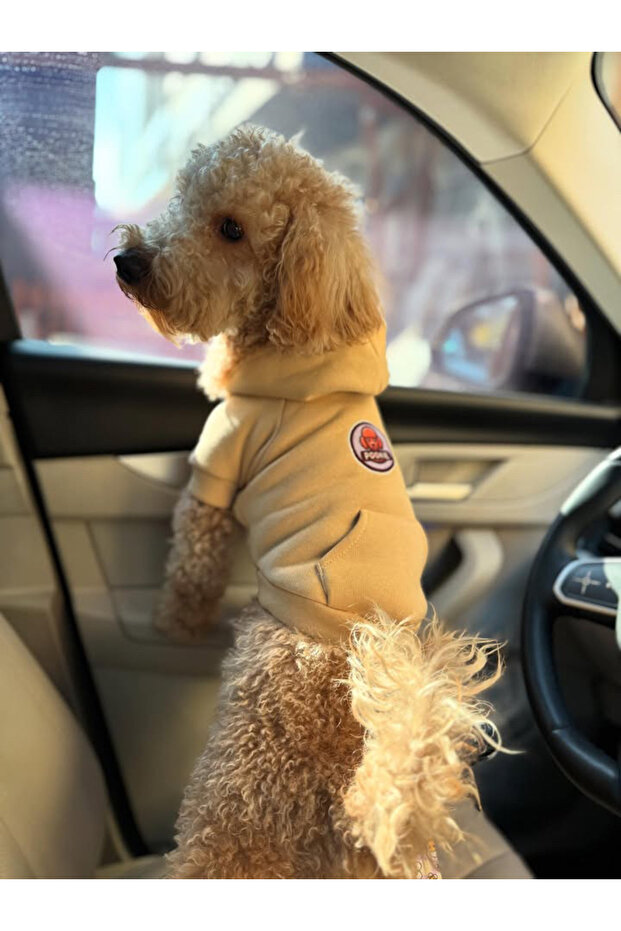 Köpek Hoodie - 4
