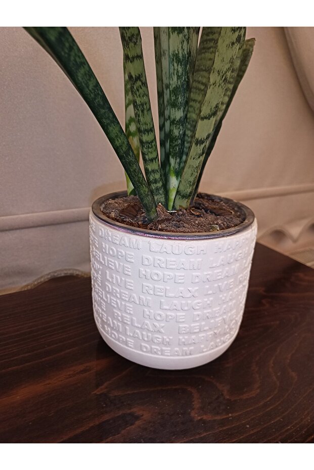 dileklisaksılık - 3