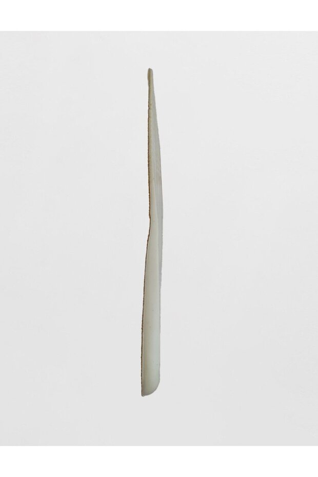 Turuncu Erkek Tabanlık - 4