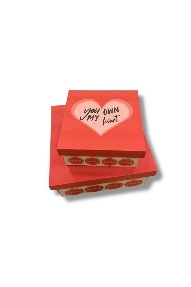 You Own My Heart Sevgililer Günü Hediye Kutusu 25x25x12cm 1 Adet - 4