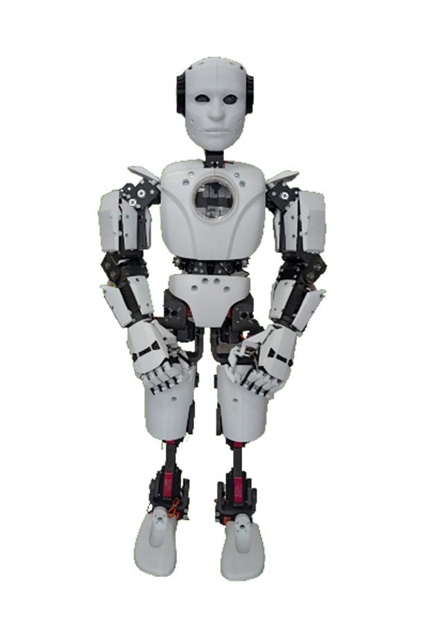 Biorobotec Robotik Tam Gövde Bionic Robot Seti - 1