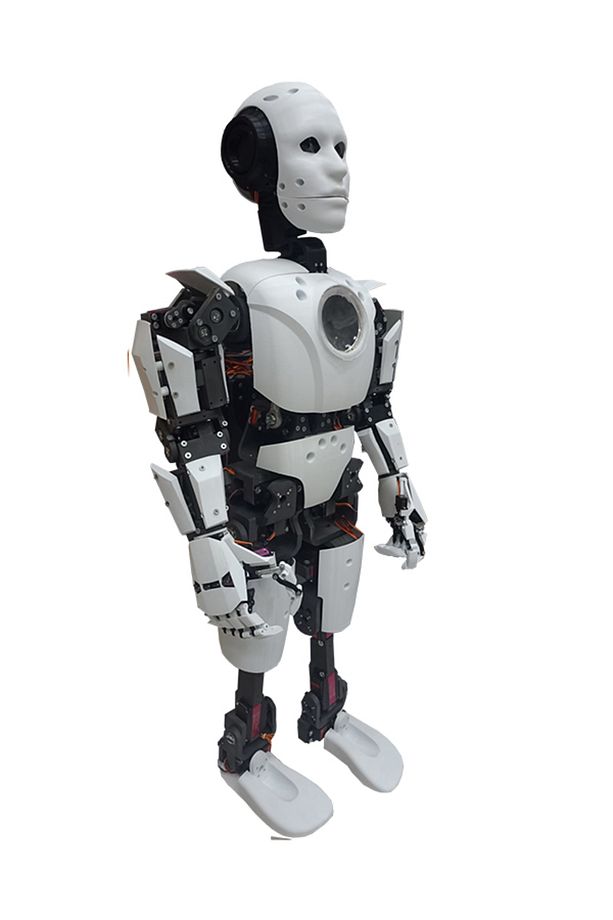 Biorobotec Robotik Tam Gövde Bionic Robot Seti - 2