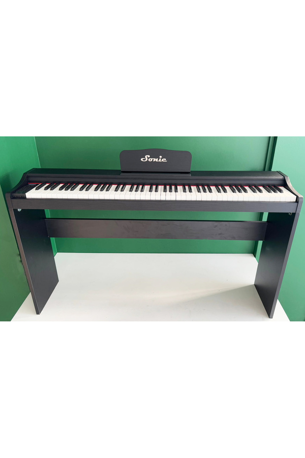 Bl 170 Piyano (STAND DAHİL) - 1