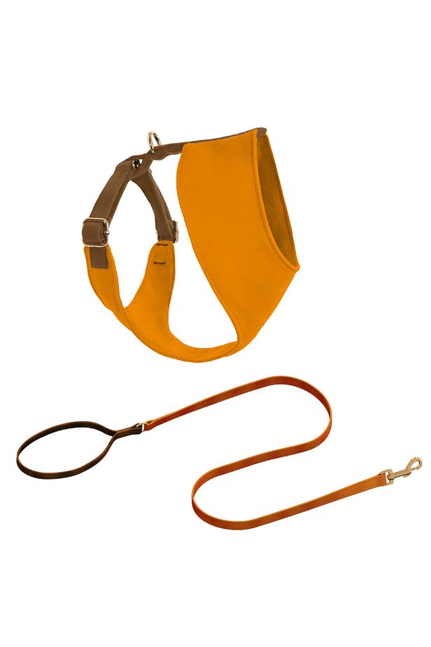Harlowe Soft Köpek Göğüs Tasma Seti - 1