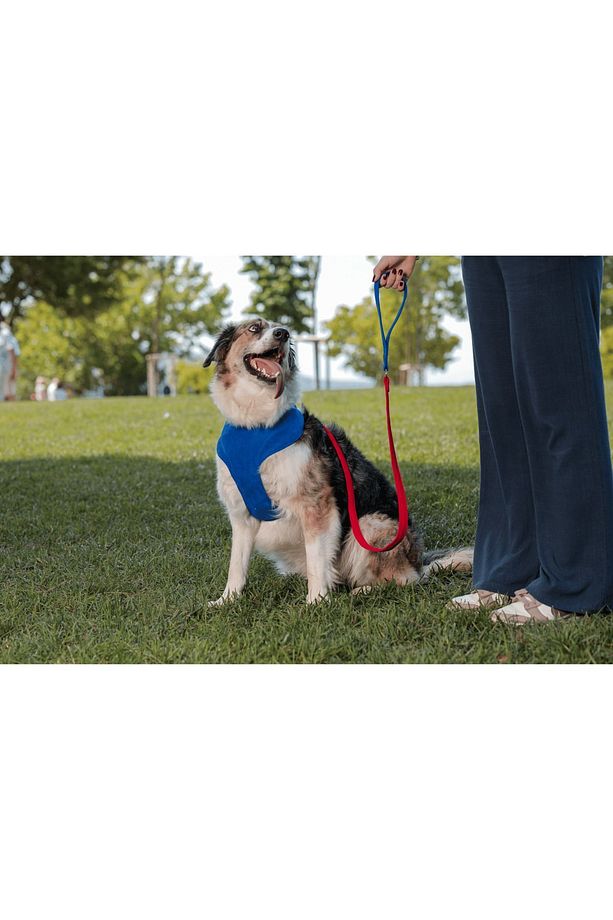 Sirius Soft Köpek Göğüs Tasma Seti - 2