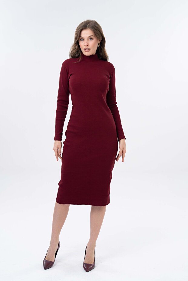 Turtleneck Midi Length Ribbed Cotton Dress