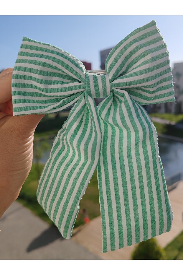 إبزيم القوس الأوتوماتيكي ذو الذيل المخطط - 2