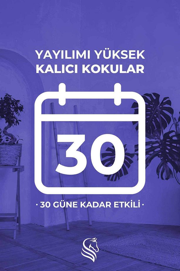 Sümbül Çubuklu Oda Kokusu Hyacinth Reed Diffuser 100ml - 5