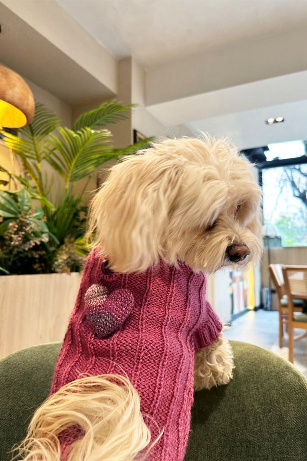 Kalpli El Örgüsü Köpek Kazak - Pembe - 4