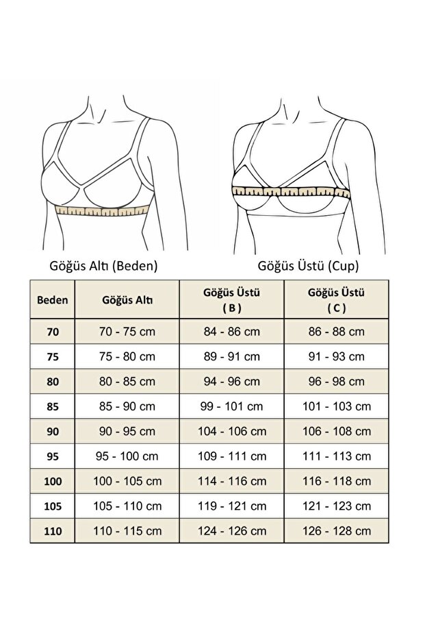 Wire Sponge Padded Padded Bra - 2