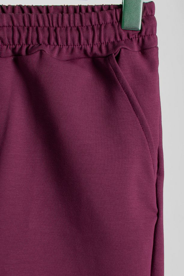 Erkek Mürdüm Basic Regular Fit Şort & Bermuda - 3