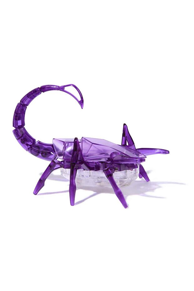 Robotik Akrep - Mor - 3