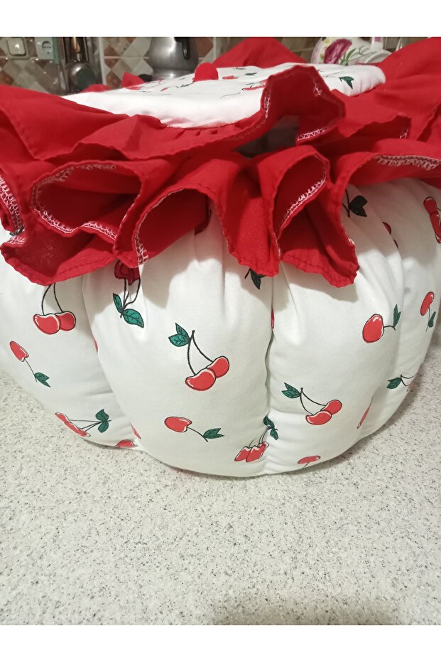 Yoğurt mayalama minderi - 5