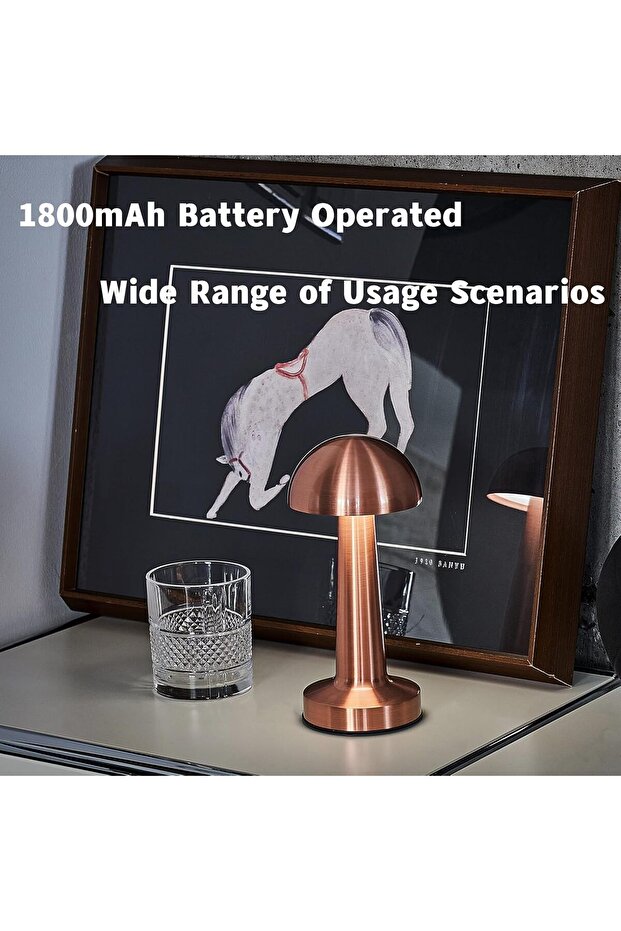LED Cordless Table Lamp, Rechargeable Touch Lamp with 4 Brightness Levels for Bedside & More - 5