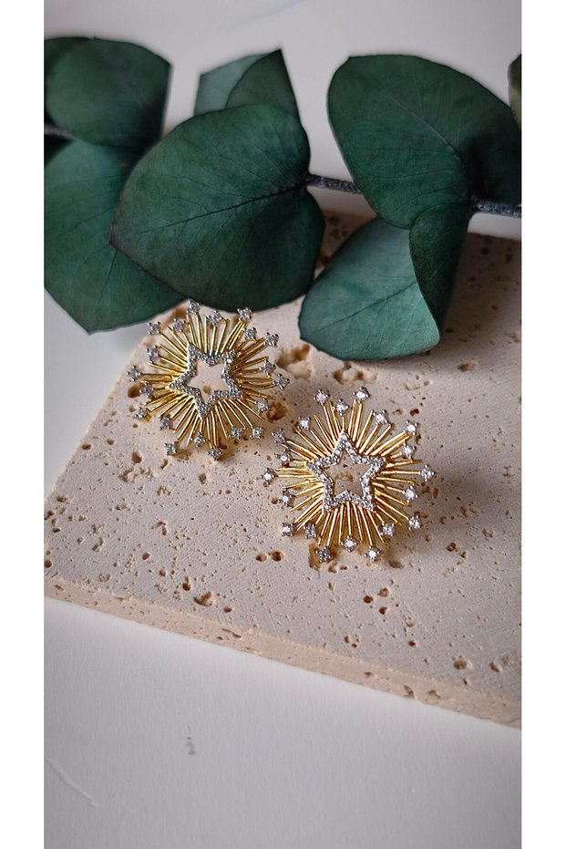 Special series two color zircon stone detail star figure earrings