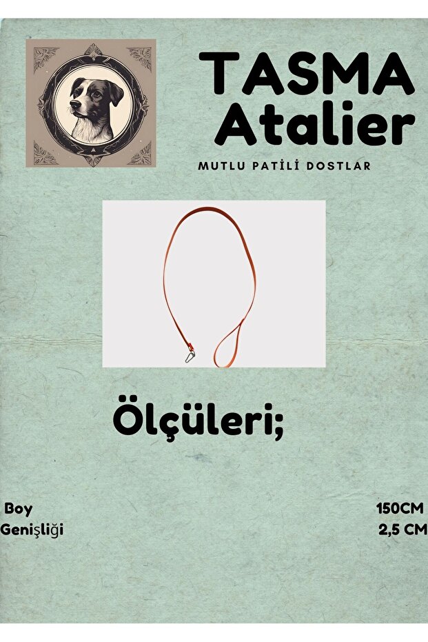 طوق مشي للكلاب - 3