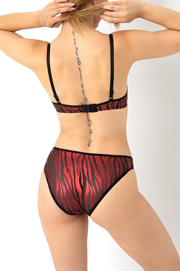 طقم حمالة صدر بنقشة الحمار الوحشي - 4