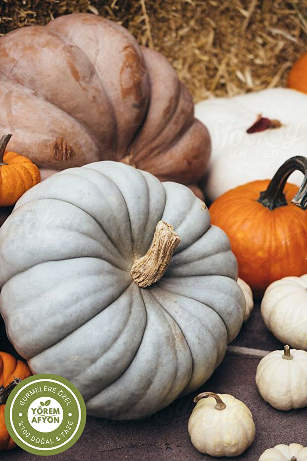 Meşhur Afyonkarahisar Tüketime Hazır Soyulmuş Dilimlenmiş Vakumlu Balkabağı {cucurbita} | 1000gr. - 5