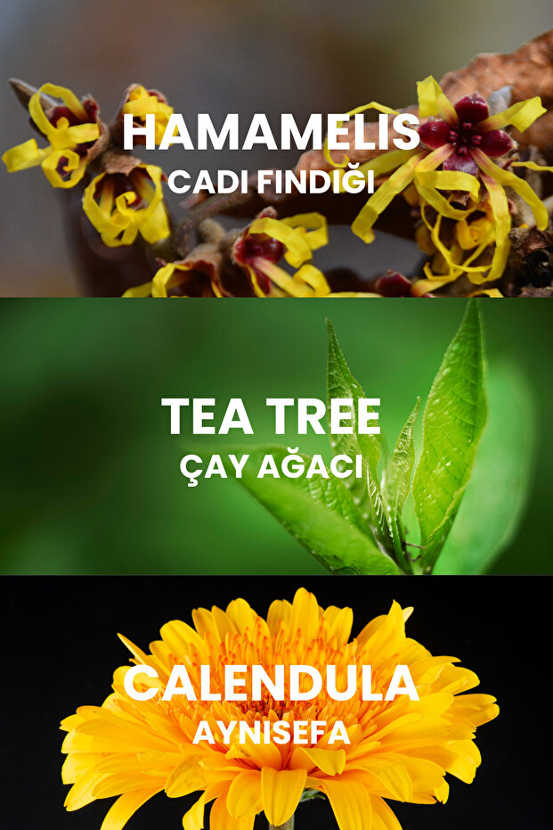 Sülfax Kükürt Şampuan 200ml - 6