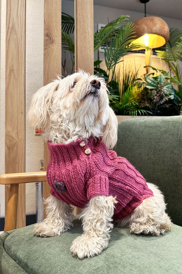 Kalpli El Örgüsü Köpek Kazak - Pembe - 3
