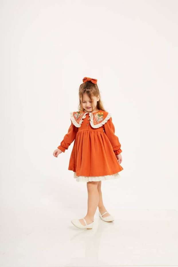 Girl's Collar Embroidery Detail Dress (Buckle Is Gift)