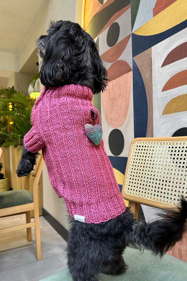 Kalpli El Örgüsü Köpek Kazak - Pembe - 1