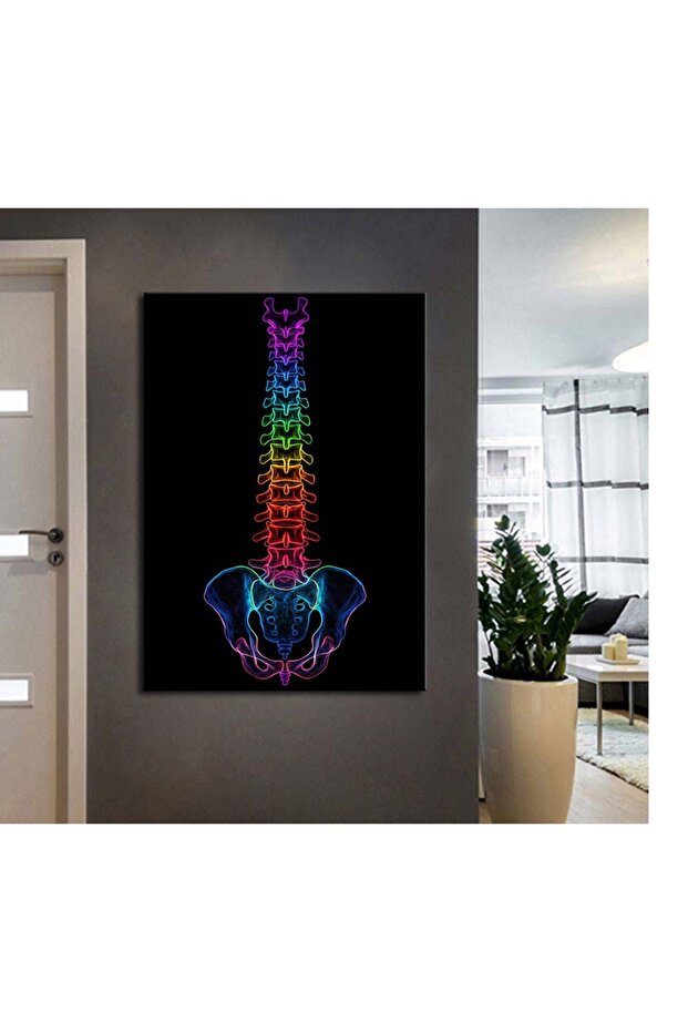 ftv55 Fizik Tedavi ve Rehabilitasyon Temalı Omurga Neon Renkler Tablo - 1