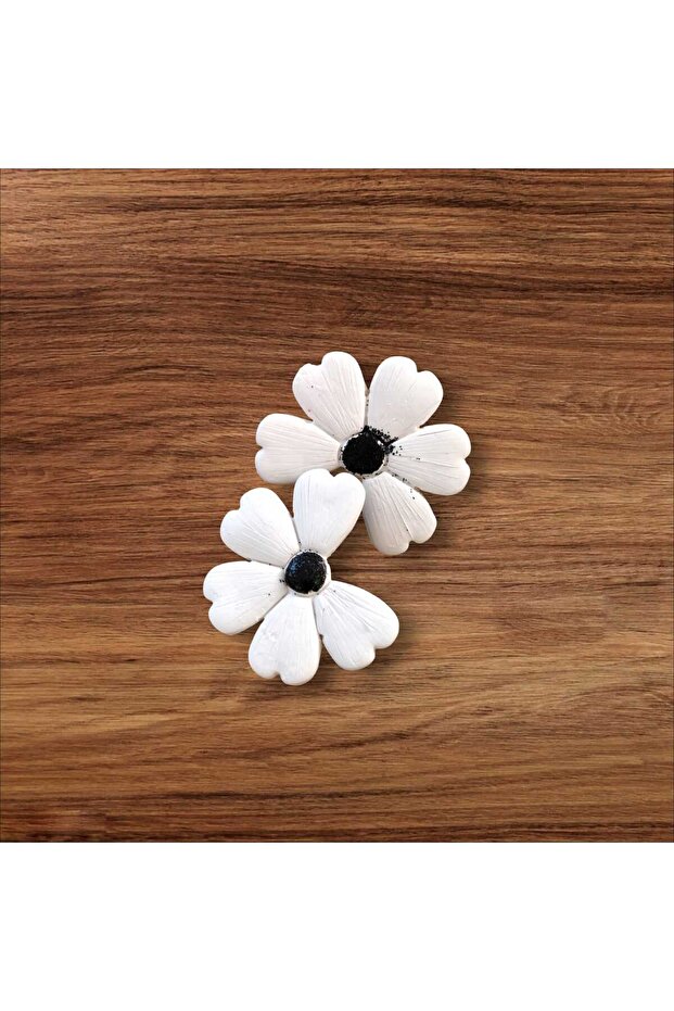 النباتات - 1