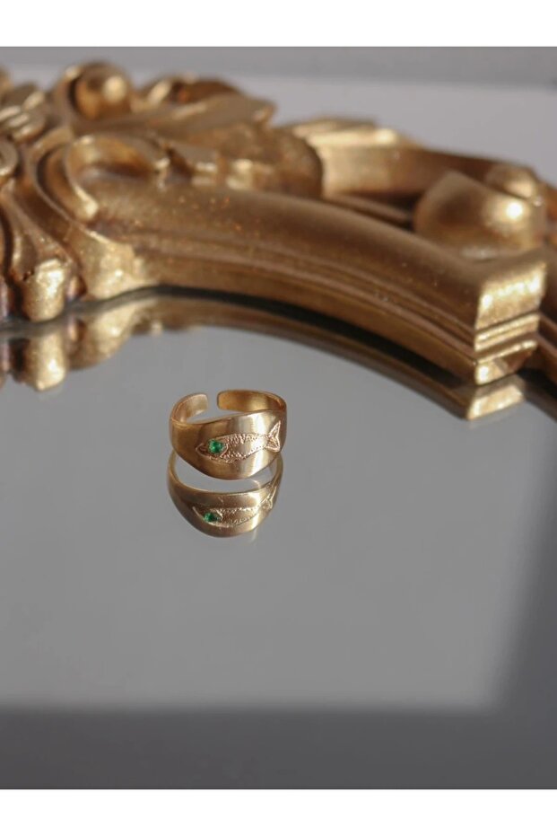 حلقة المد الرجعية - 1