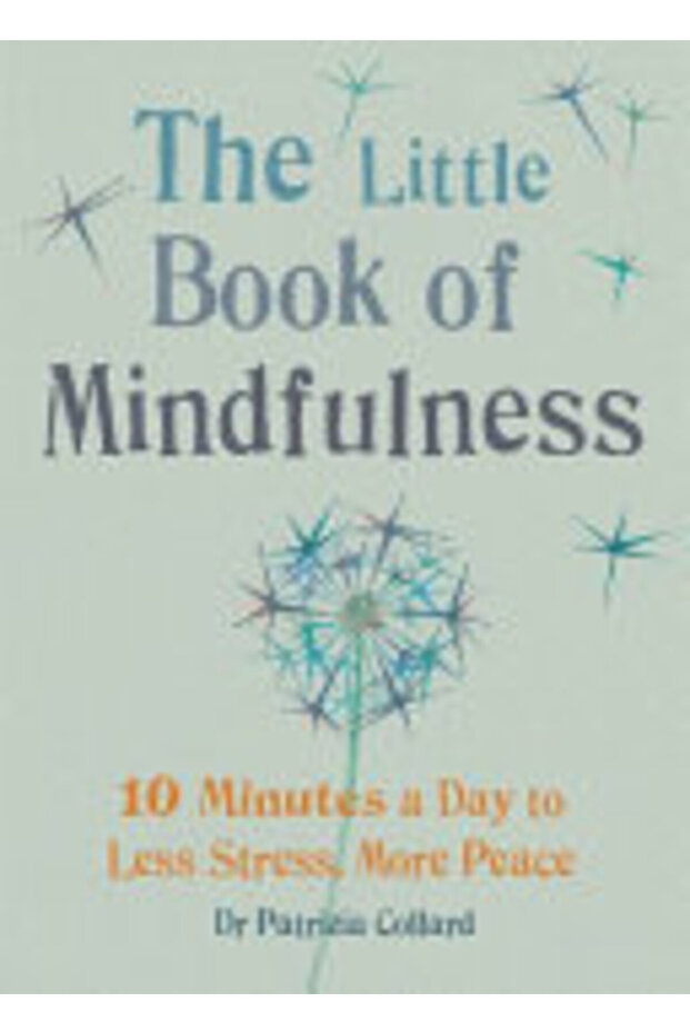 The Little Book of Mindfulness