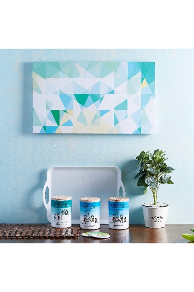 صينية فيجا - 3